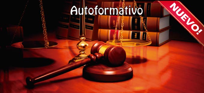 Los mecanismos internos de protección y promoción de los Derechos Humanos.